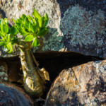 karoo nature walks, laingsburg